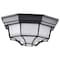 Nuvo LED Spider Cage Fixture, Black Finish with Frosted Glass 62/1400 - alternate 5